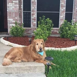 Meet your Posher, Sosina